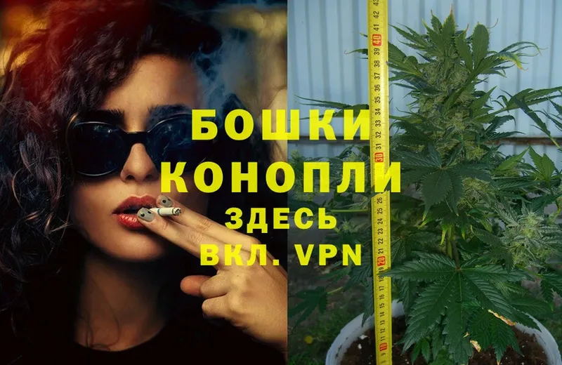 blacksprut ТОР  Выкса  Бошки Шишки OG Kush 